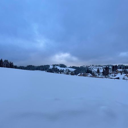 Chata Vevericka Oravská Lesná エクステリア 写真